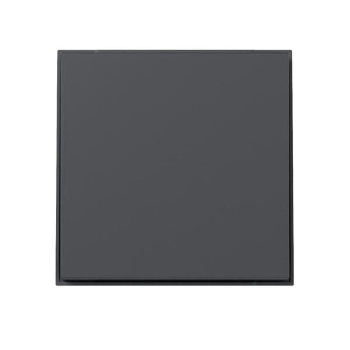 Bild von GIRA Wippe 349667 gerade TX44 anthr (349667)