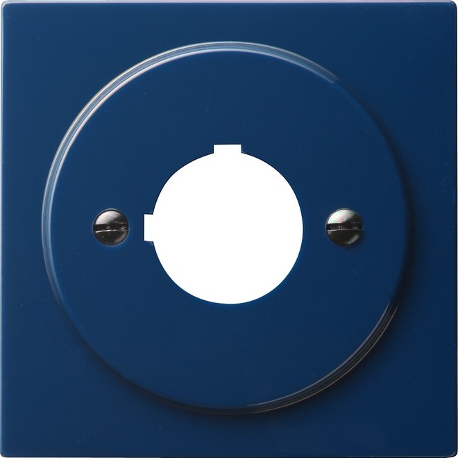 Bild von GIRA 027246 Wandplatte/Schalterabdeckung Blau (027246)