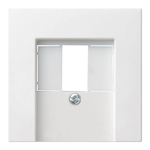Bild von Gira Zentralplatte TAE rws System55 027627