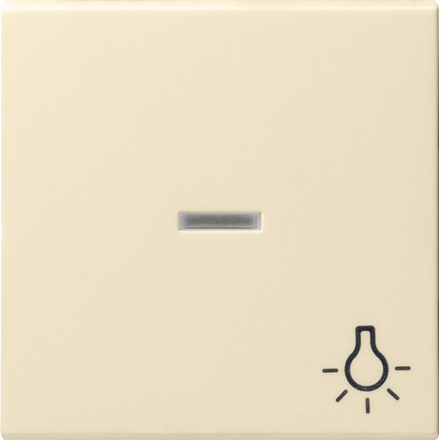 Bild von Gira Wippe 067401 Kontroll Sym Licht System 55 cw