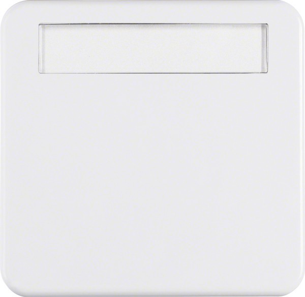 Bild von Berker Abdeckrahmen Berker Wippe pws/gl 162909
