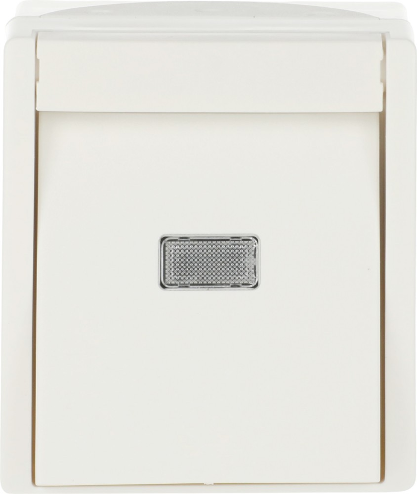 Bild von Busch-Jaeger Wipptaster,mit Beleuchtung 2621 WGL-54 2CKA001484A0381