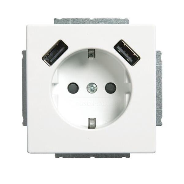 Bild von Busch-Jaeger Klemmen Busch-Jaeger SCHUKO-2x USB Steckdose 20 EUCB2USB-884
