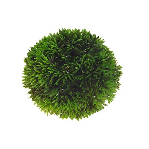 Bild von Hobby Plant Ball SB, Durchmesser 9 cm