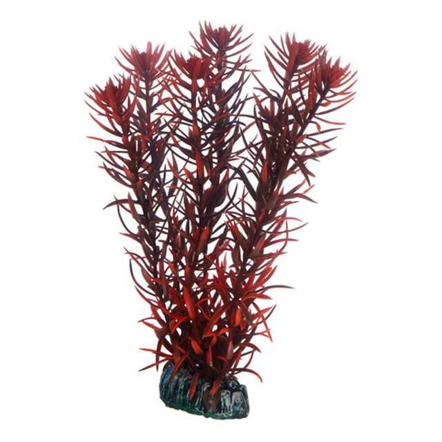 Bild von Dohse Eusteralis, 20 cm (Dekoration, sonstige Gegenstände), Aquarium Dekoration
