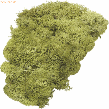 Bild von 5 x Knorr prandell Islandmoos lindgrün 50 g