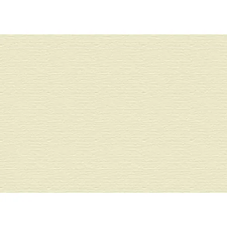 Bild von Knorr Prandell Karton A4 champagner 220 g 100 Blatt
