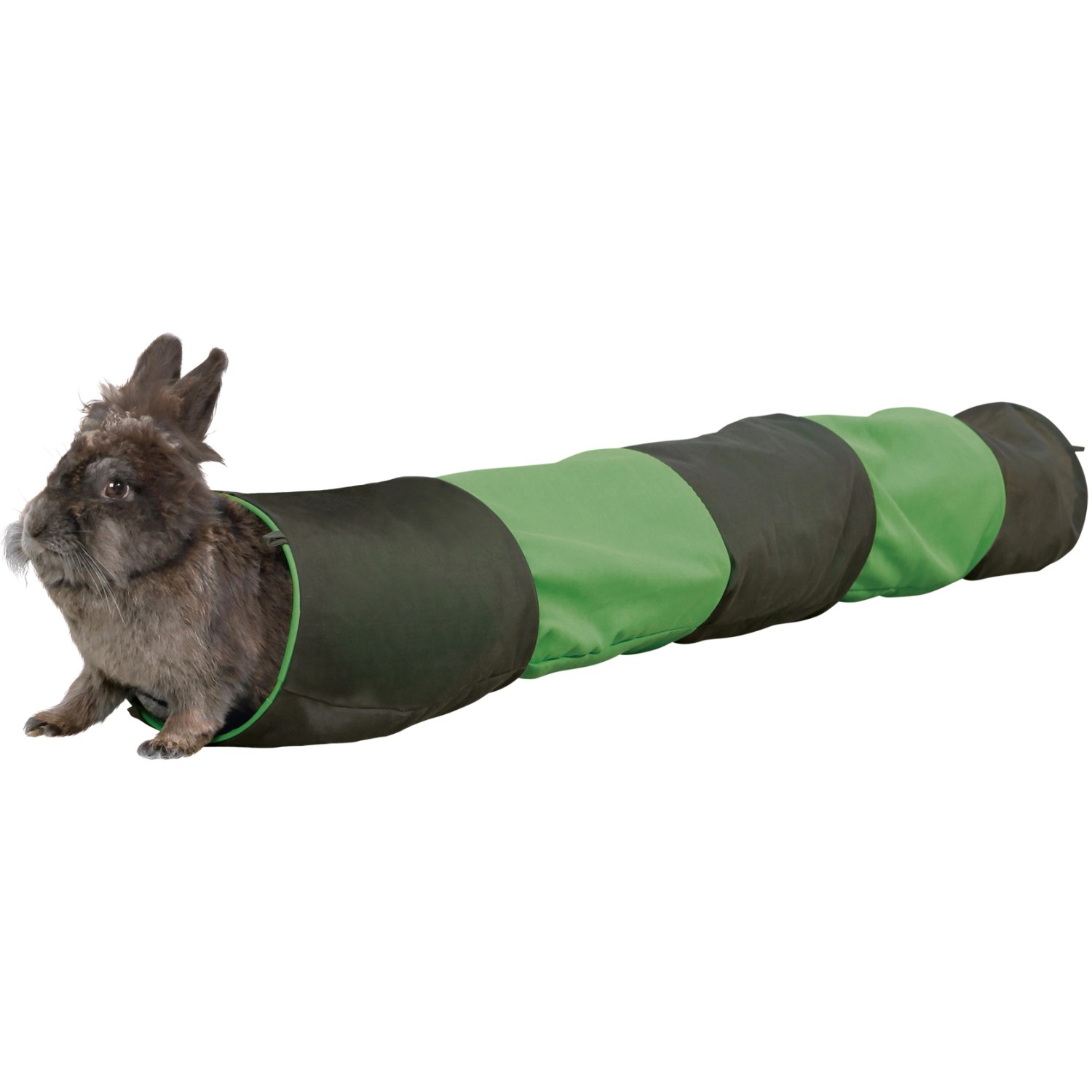 Bild von Trixie Spieltunnel für Kaninchen ø 18 cm x 130 cm Anthrazit/ Grün