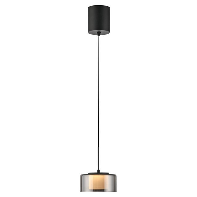 Bild von Paul Neuhaus LED Pendelleuchte RIKA, 1-flammig, Rauchfarben, Schwarz, Metall, Dimmfunktion, Memoryfunktion, LED fest integriert, Extra-Warmweiß, Lampenschirm aus Glas, Höhenverstellbar Ø 15 x H 180 cm