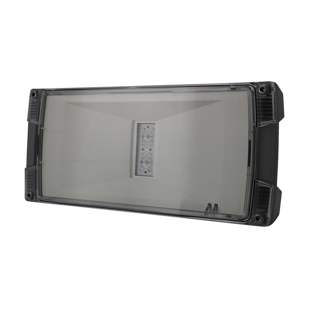 Bild von Ceag Notlichtsysteme LED-Einzelbatterie-Leuchte m.autom. Funkt.test AtlanticLED SCGLine+