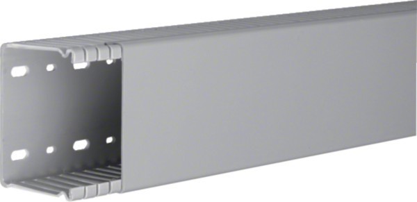Bild von 2 Mtr. Tehalit Verdrahtungskanal BA6 60080B gr BA66008007030B