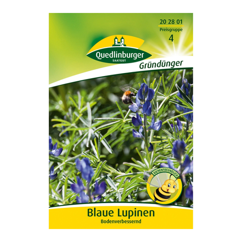 Bild von Quedlinburger Lupinen Blau Großpackung – Gründüngung für Ihren Garten