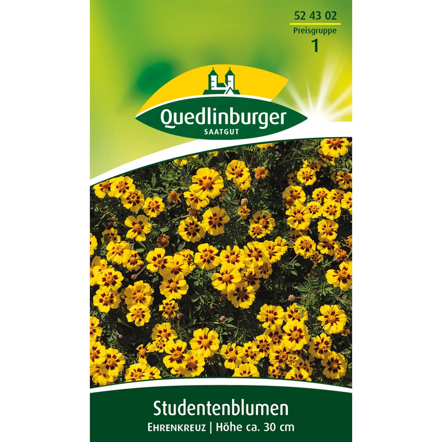 Bild von Quedlinburger Studentenblume ''Ehrenkreuz''