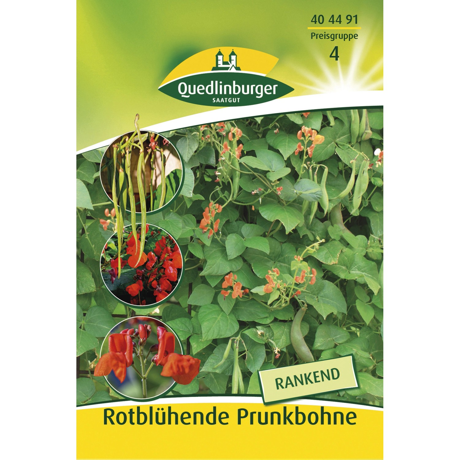 Bild von Quedlinburger Rotblühende Prunkbohnen Rankend