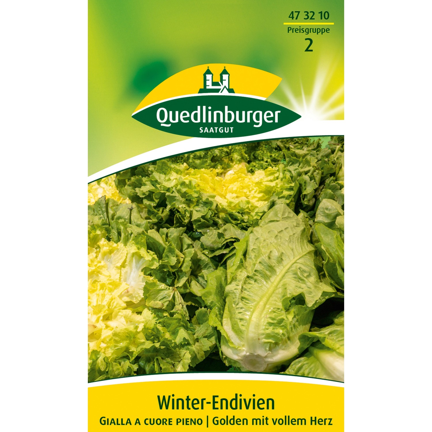 Bild von Quedlinburger Winter-Endivien ''Gialla a cuore pieno''