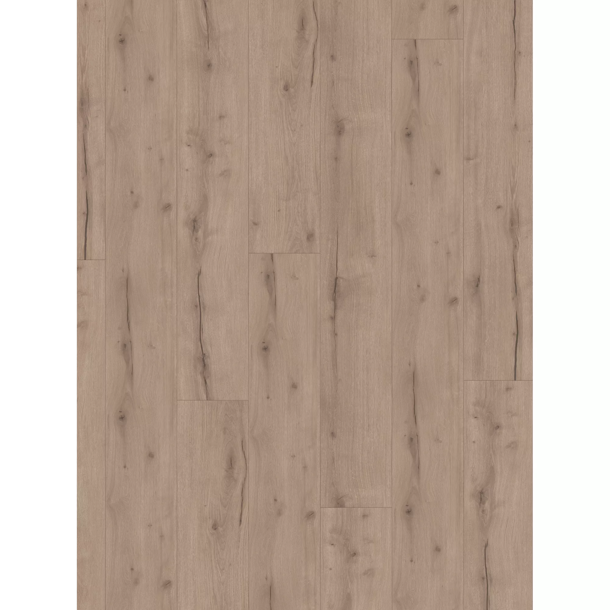 Bild von Parador Vinylboden 'Modular ONE' Eiche Helios grau 8 mm
