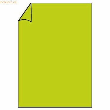Bild von 100 x Paperado Briefpapier A4 100g/qm Maigrün