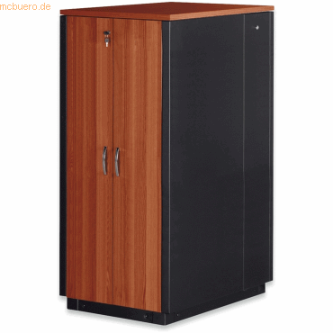 Bild von Digitus 483 mm (19") SOUNDproof Schrank (19 Zoll Rack), Serverschrank, Schwarz