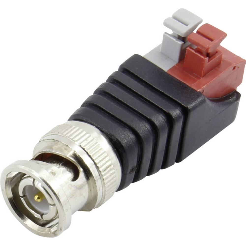 Bild von Conrad Components BNC Stecker mit Anschlussklemme, Elektronikkabel + Stecker