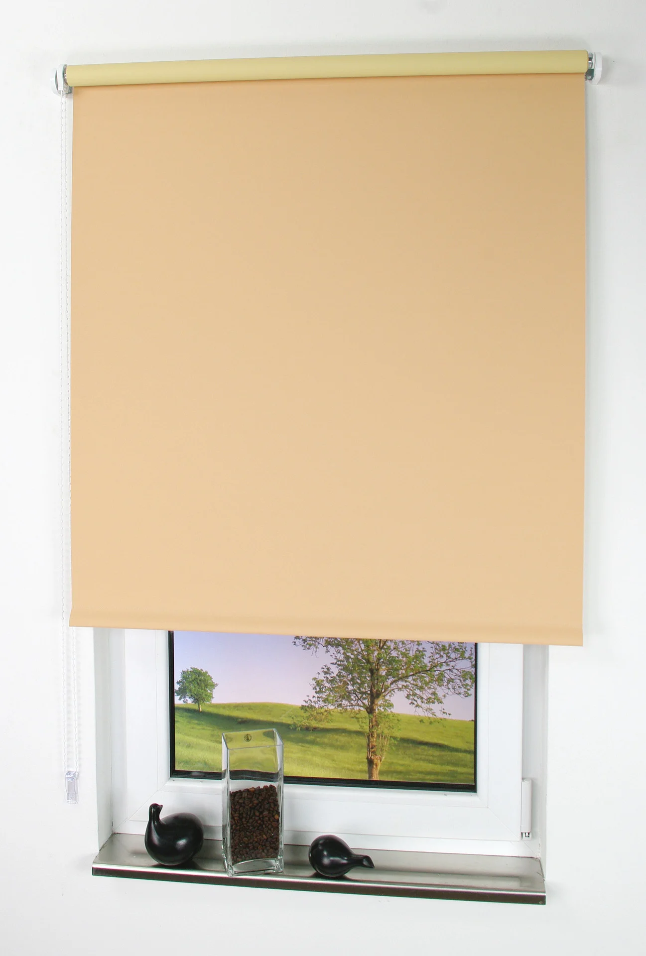 Bild von LIEDECO Seitenzug-Rollo, apricot, Polyester - orange