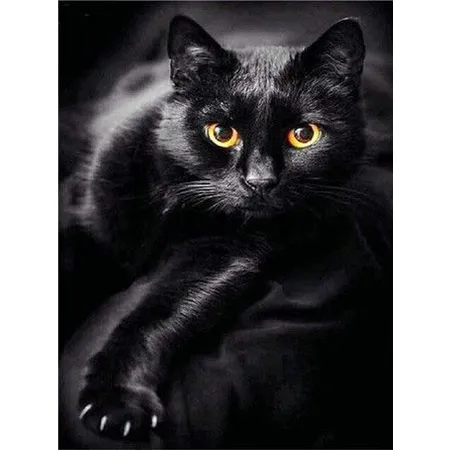 Bild von Pracht Creatives Hobby Diamond Painting Set, Bild mit Motiv Schwarze Katze und Zubehör, Größe ca. 35 x 25 cm, Bastelset zum Malen mit Glitzersteinchen für Kinder ab 5 Jahren