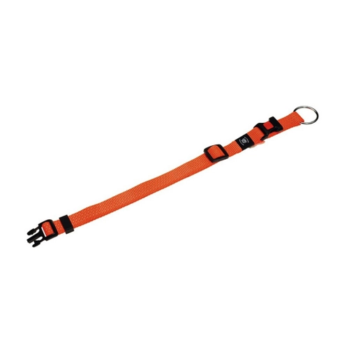 Bild von Neon & Reflex Hunde-Halsband