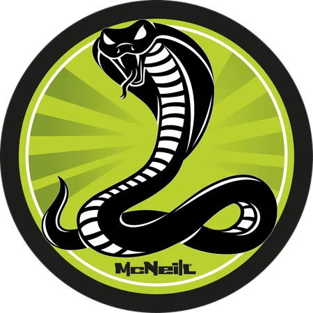 Bild von McNeill McAddys zu Schulranzen Ninja: Schlange grün