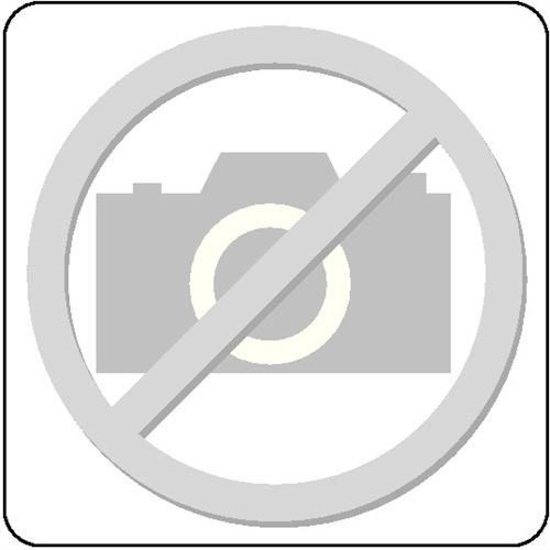 Bild von Einsteckbügel für fetra® Plattenwagen und ständer, LxH 1.200 x 300 mm