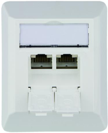 Bild von Telegärtner Anschlussdose AMJ45 Kat.6A (tief), 2 x RJ45