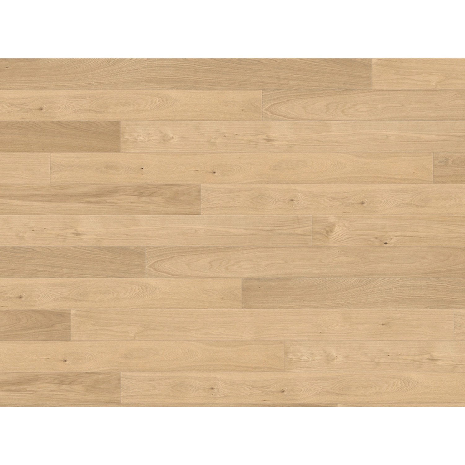 Bild von Living by Haro Parkett Landhausdiele 4V Eiche Classic strukturiert geölt