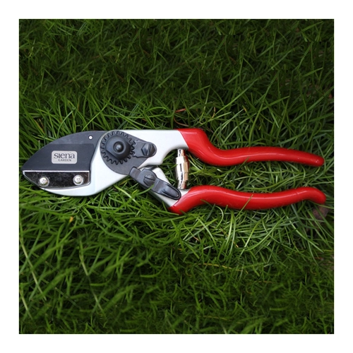 Bild von SIENA GARDEN Premium Ambossschere