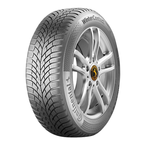 Bild von 195/65R15*T TS 870 91T