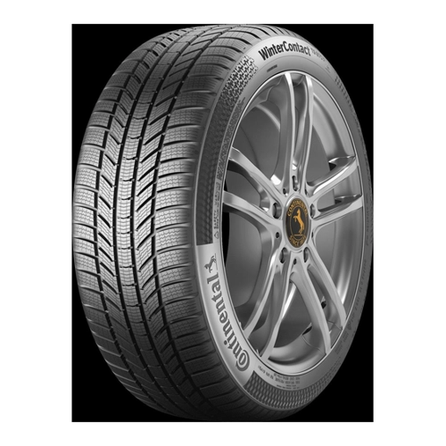 Bild von 255/40R21*T TS 870 P 102T FR XL