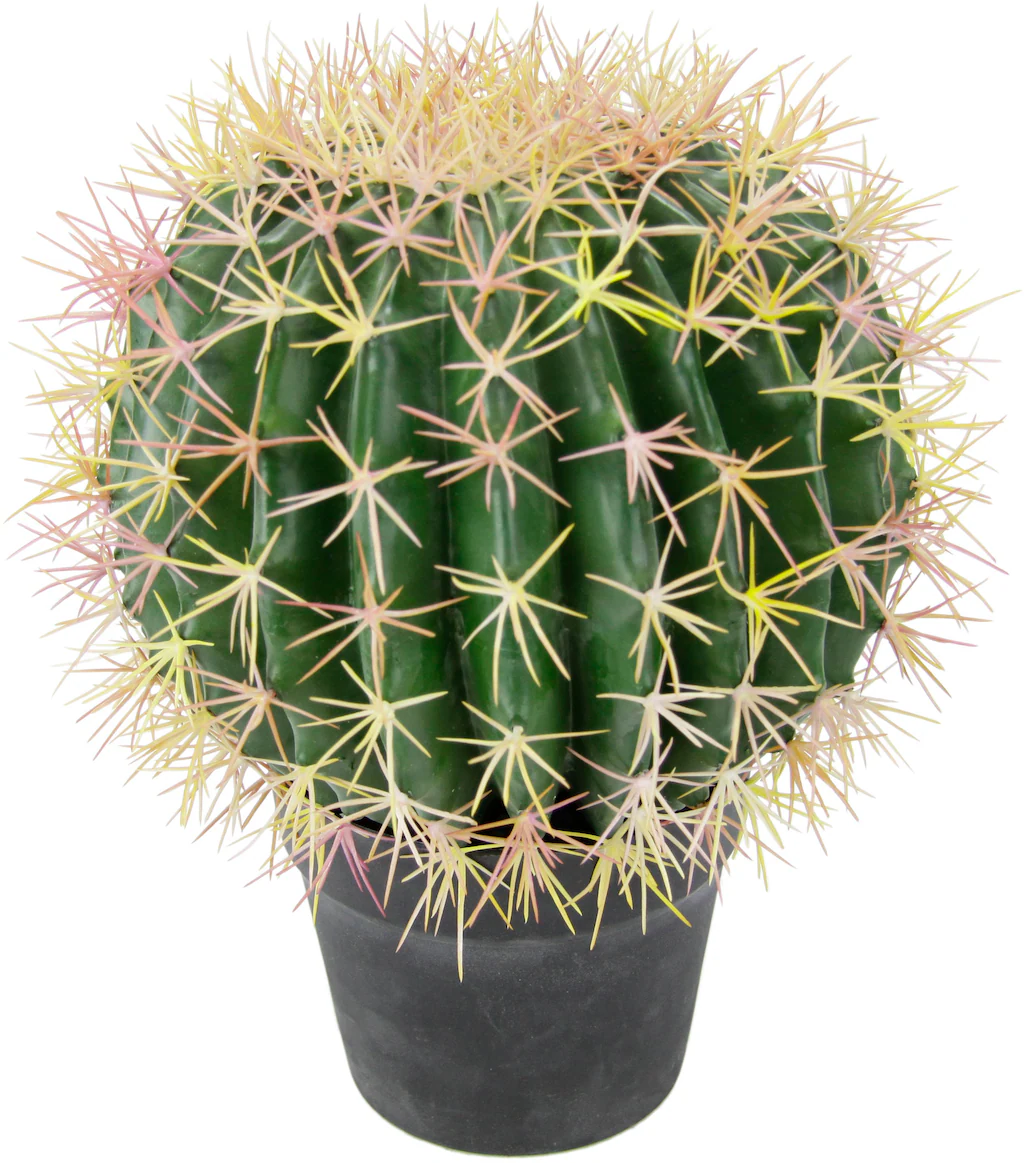 Bild von Flair Flower Kugelkaktus im Topf Kunstkaktus gefälschte Kaktusfeige Künstlich Knolliger Stacheliger Kaktus Dekoration Aloe Vera Schwiegermuttersessel Schwiegermuttersitz E 151587GN Grün 33x26x26 cm