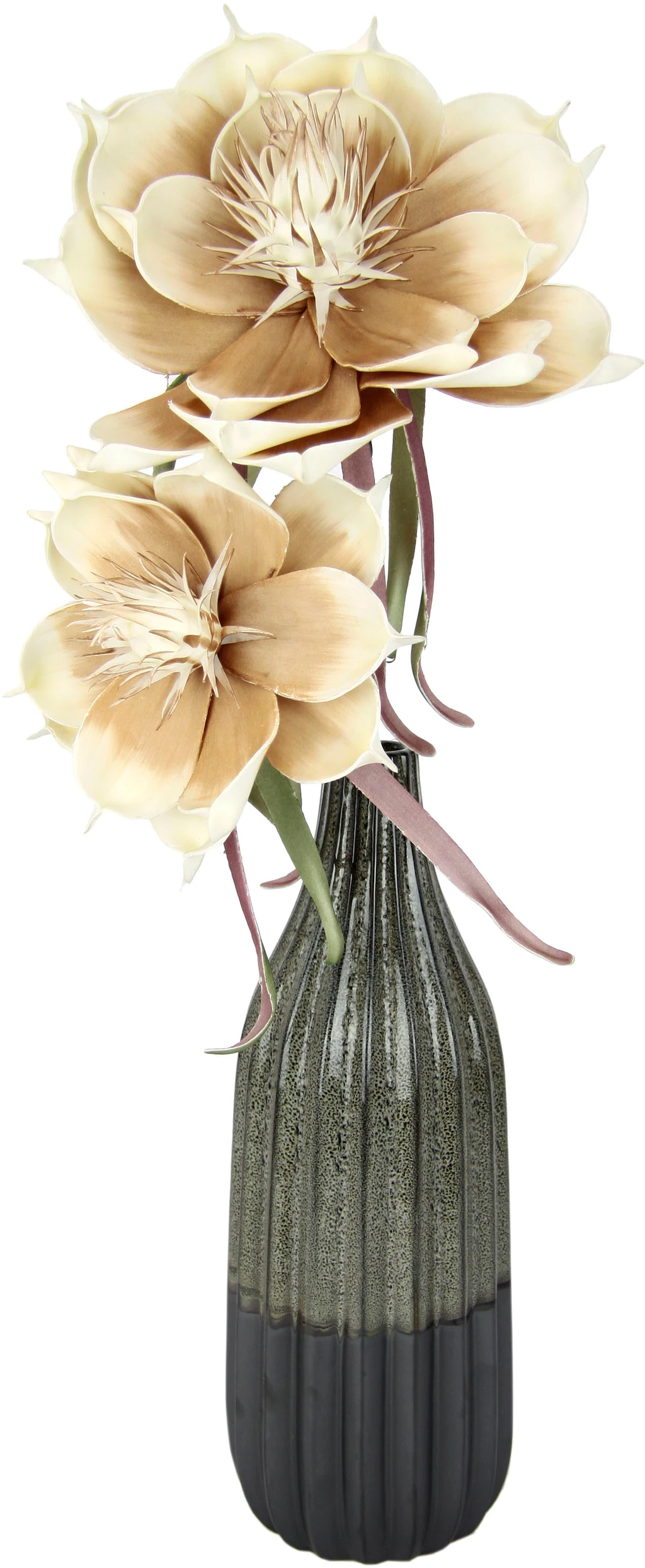 Bild von Kunstblume Magnolie, I.GE.A., Höhe 65 cm, In Keramikvase