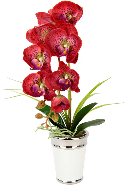 Bild von Kunstblume Orchidee, I.GE.A., Höhe 52 cm, im Topf, aus Keramik, Seidenblume Real Touch