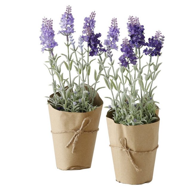 Bild von Kunstpflanze Topfpflanze, 1 Stück, Lavendel, 32 cm hoch, BOLTZE
