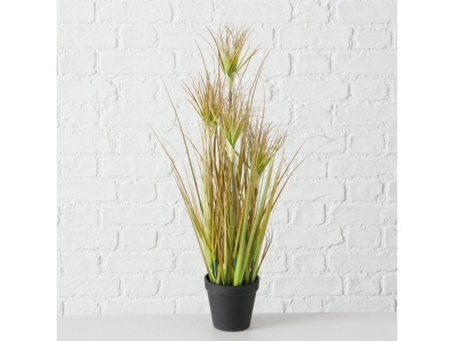Bild von Kunstpflanze Topfplanze Zwiebelgras 98 cm, BOLTZE, Höhe 0 cm