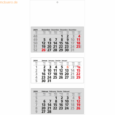Bild von GÜSS Kalender Monatskalender 2025 Güss 3-Monatskalender einzelne Monatsblöcke 33x70cm