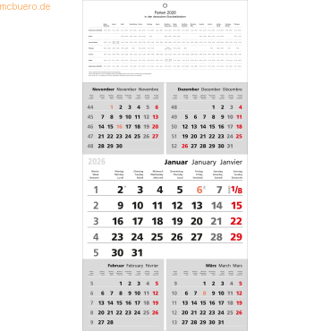 Bild von GÜSS Kalender Monatskalender 2025 Güss 5-Monatskalender 60x30cm