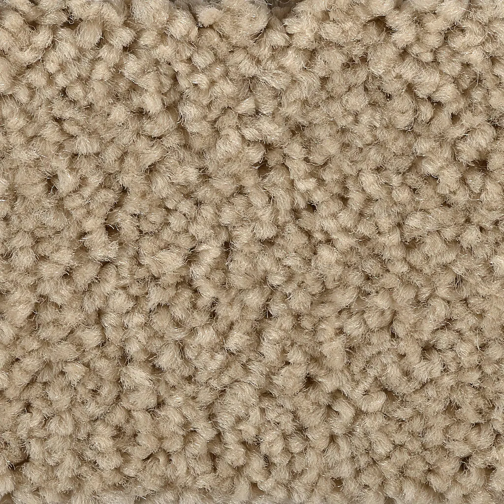 Bild von BODENMEISTER BM72182 Teppichboden Auslegware Meterware Hochflor Shaggy Langflor Velour beige 400 cm und 500 cm breit, verschiedene Längen, Variante: 8 x 4 m