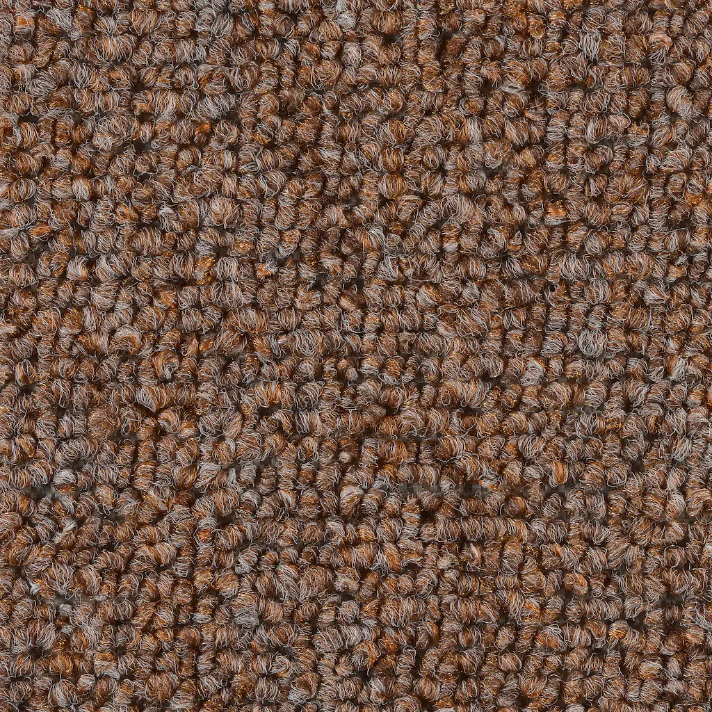 Bild von Bodenmeister Teppichboden "Riga, Schlinge - Uni Farben", rechteckig, 6 mm Höhe, Wohnzimmer, Schlafzimmer, Kinderzimmer, Breite 400/500 cm