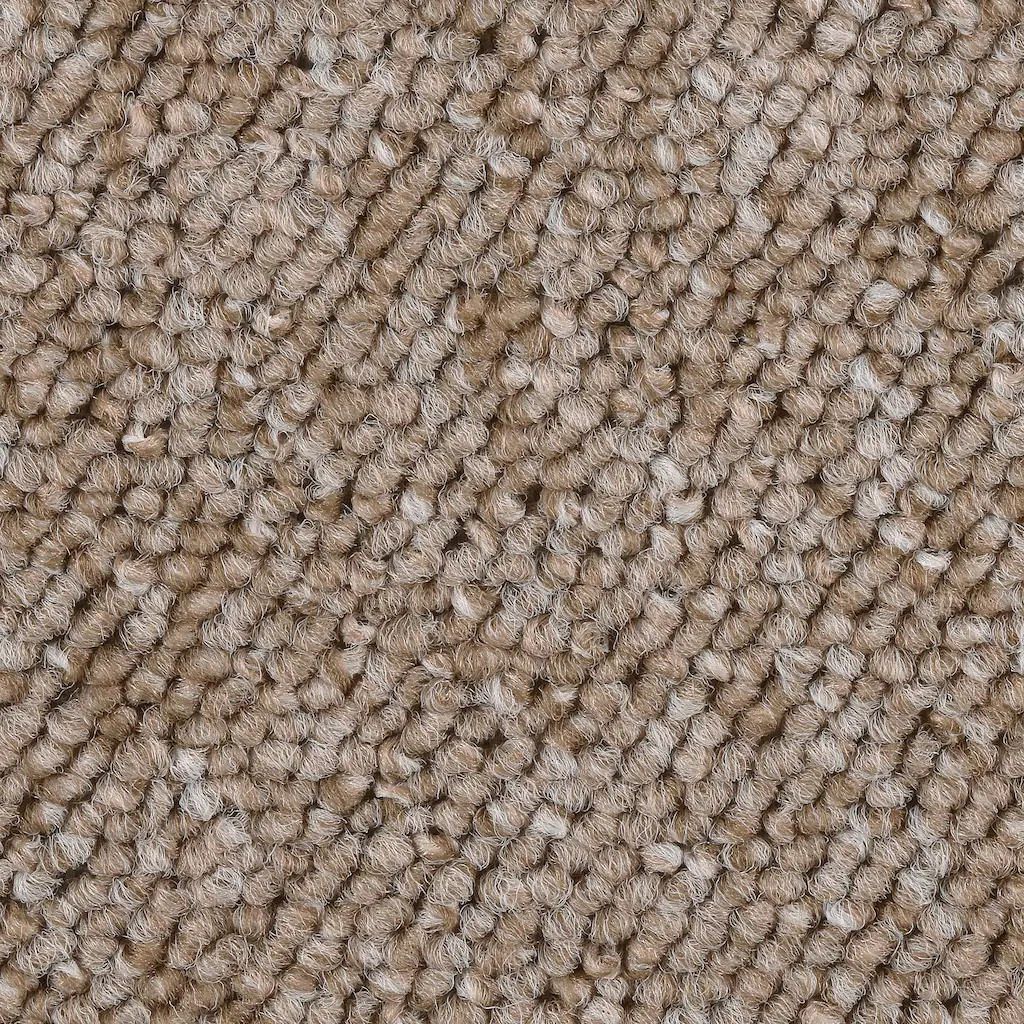 Bild von Bodenmeister Teppichboden "Astano, Schlinge - meliert", rechteckig, 6 mm Höhe, Wohnzimmer, Schlafzimmer, Kinderzimmer, Breite 400/500 cm