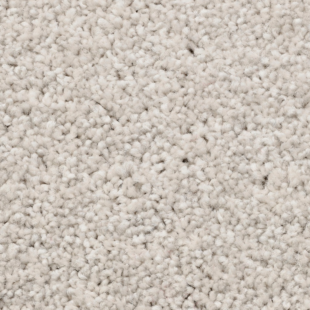 Bild von Bodenmeister Teppichboden "Pegasus, Velours - Uni Farben", rechteckig, 10 mm Höhe, Wohnzimmer, Schlafzimmer, Kinderzimmer, Breite 400/500 cm