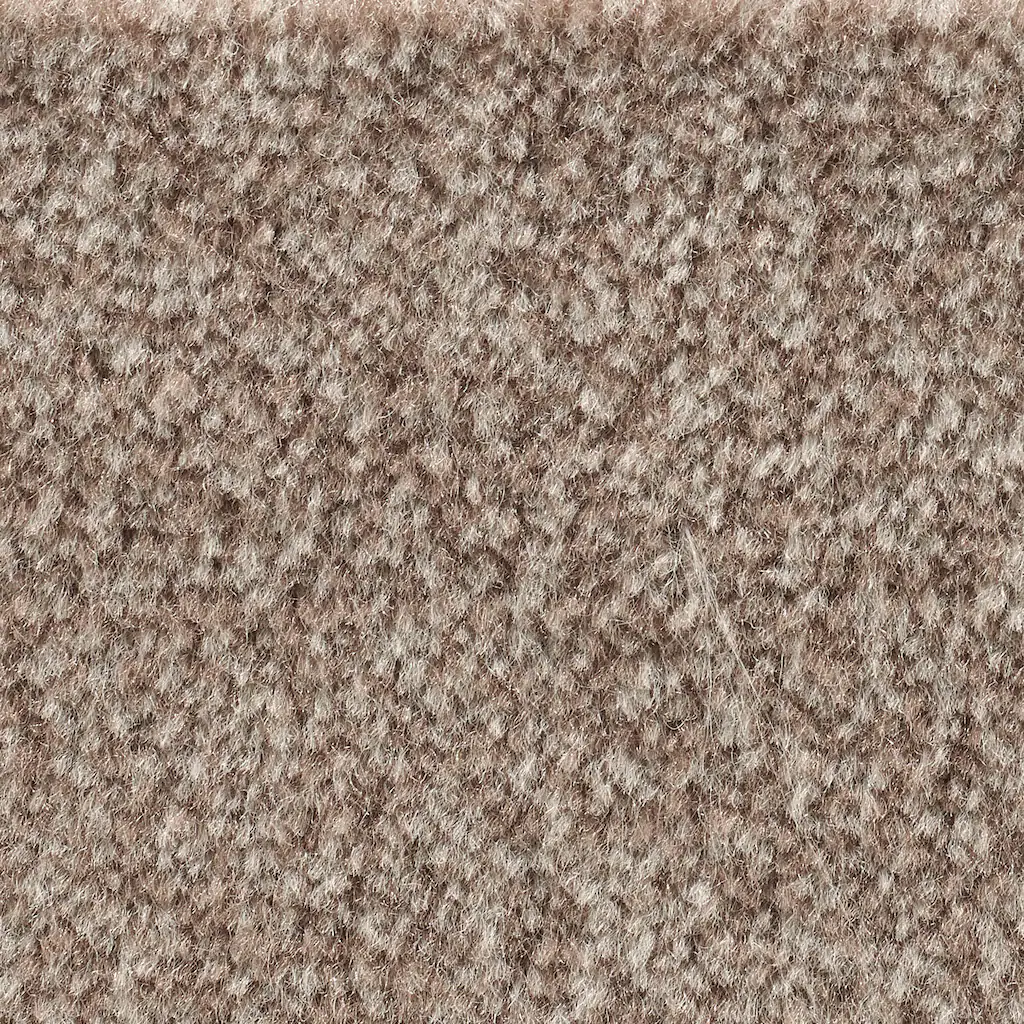 Bild von Bodenmeister Teppichboden "Jupiter, Velours - meliert, Made in Belgium", rechteckig, 7,5 mm Höhe, Wohnzimmer, Schlafzimmer, Kinderzimmer, Breite 400/500 cm