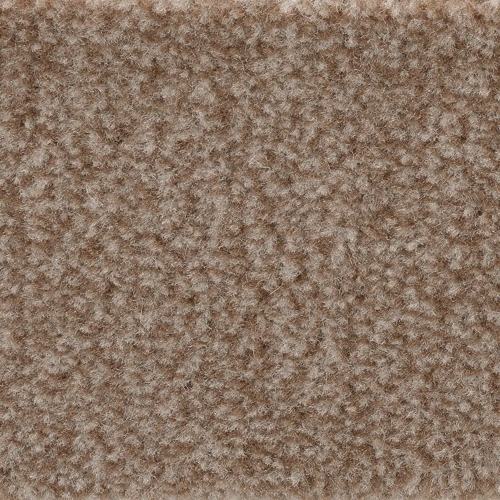 Bild von Bodenmeister Teppichboden "Jupiter, Velours - meliert", rechteckig, 7,5 mm Höhe, Wohnzimmer, Schlafzimmer, Kinderzimmer, Breite 400/500 cm