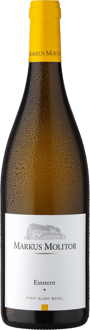 Bild von Markus Molitor Einstern Pinot Blanc