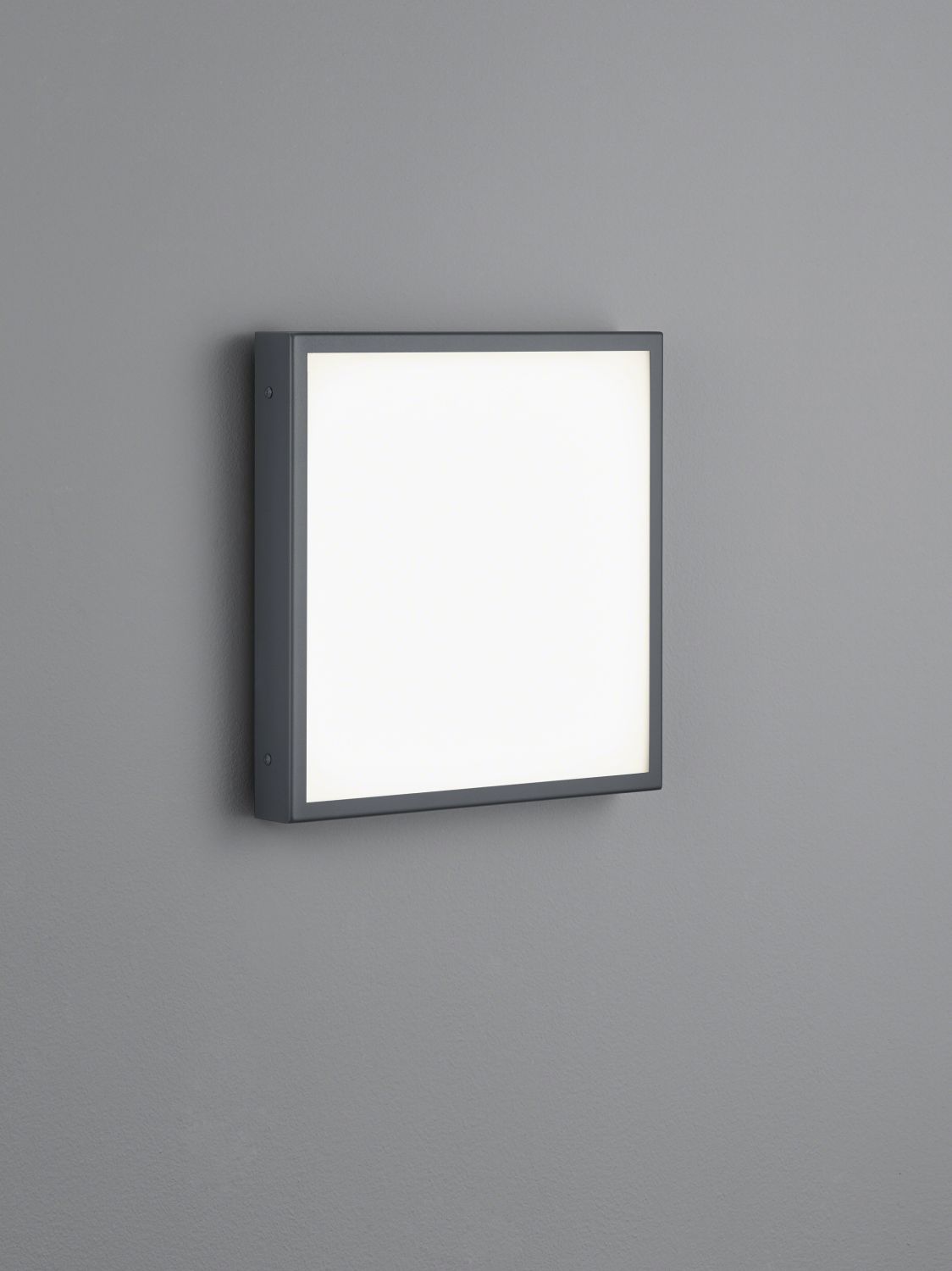 Bild von Helestra LED-Wand-/Deckenau?enleucht SCALA 32x32cm graphit A18457.93