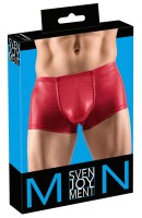 Bild von Pants im Glanzlook