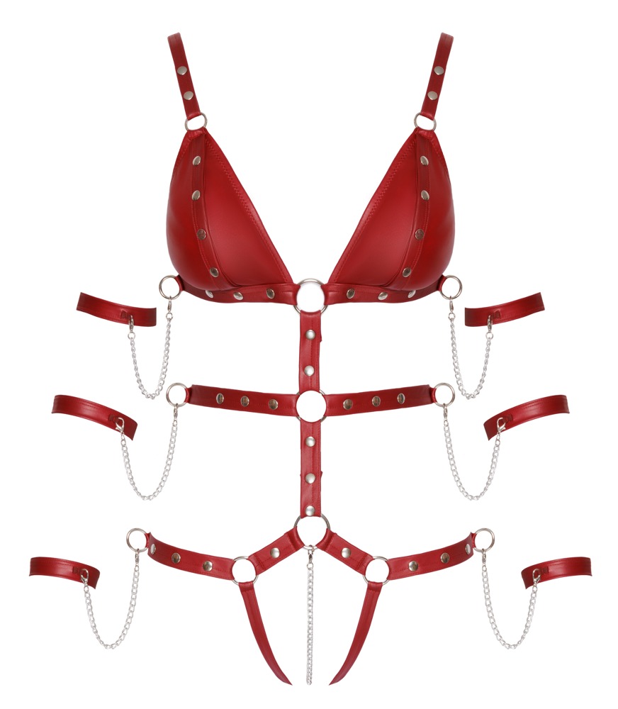 Bild von Body ouvert mit 6 abnehmbaren Fesseln